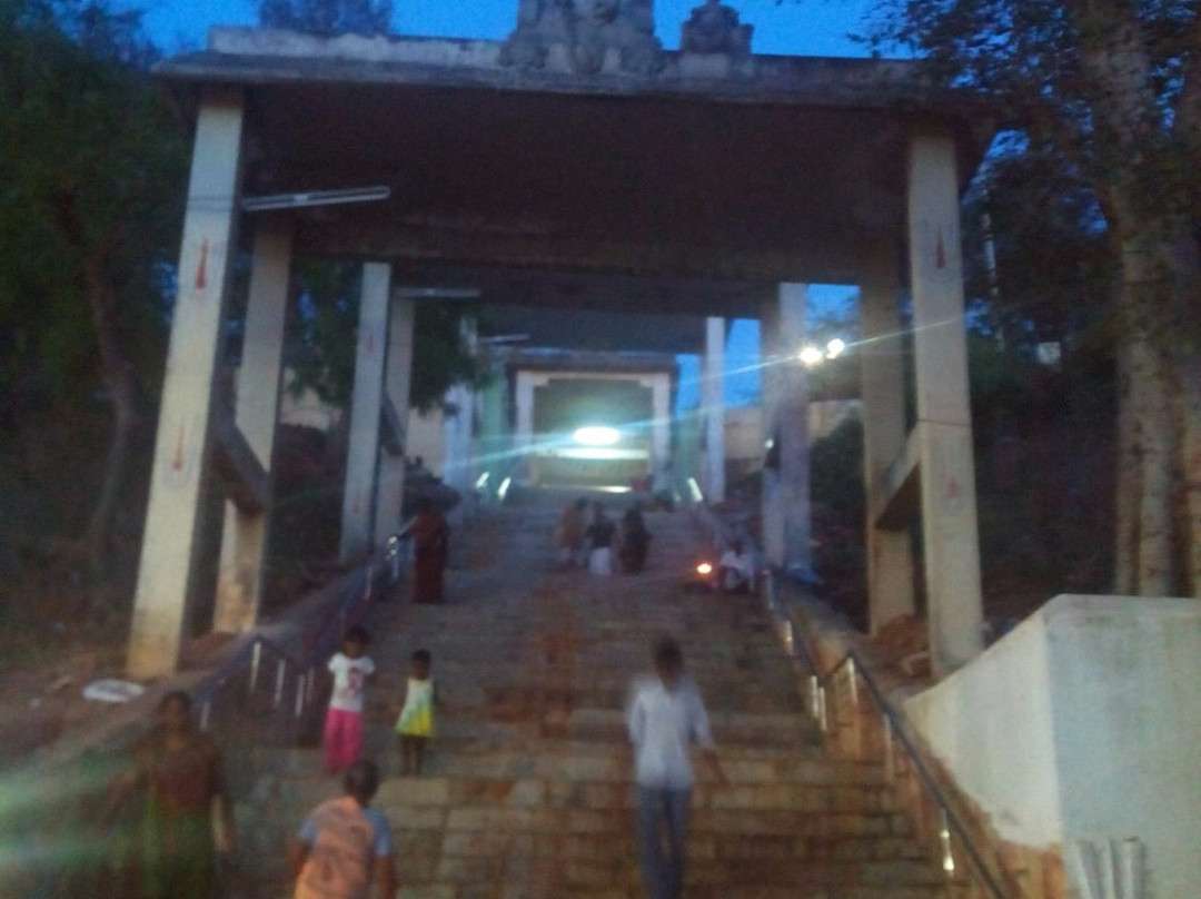 Devanathaswamy Temple景点图片
