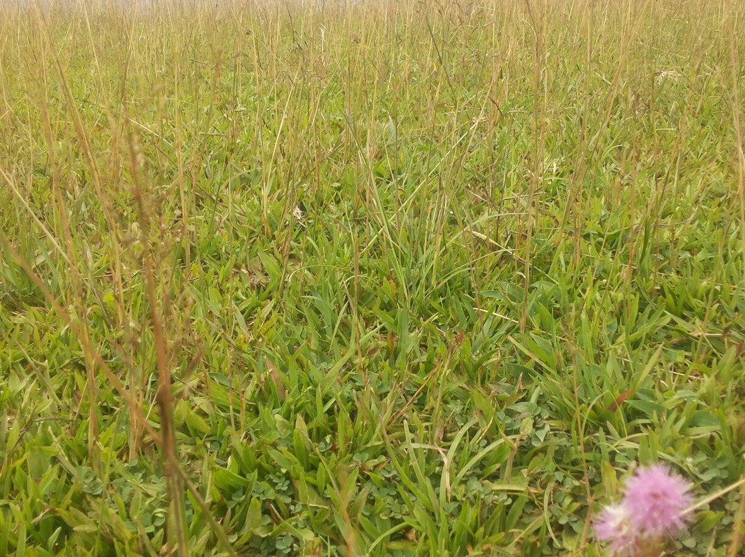 Balacay Point-Catanduanes必去景点