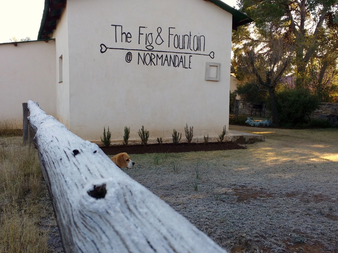 Fig & Fountain B&B主图