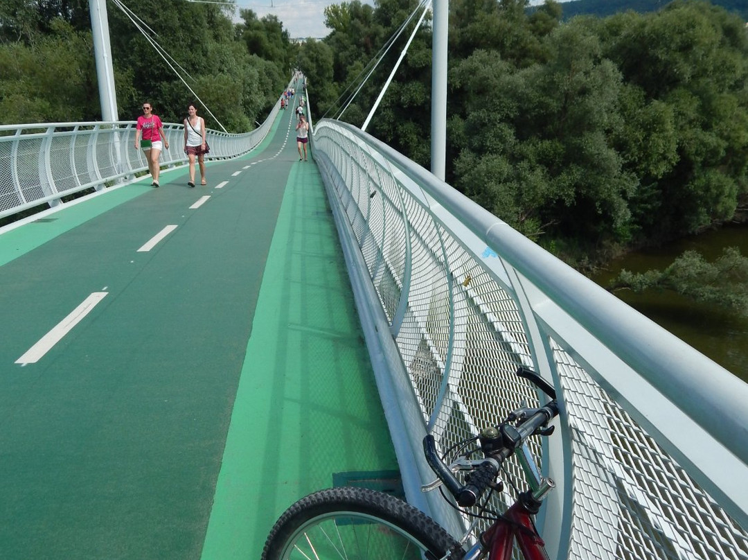 Groissenbrunn旅游景点-Freedom Cycling Bridge