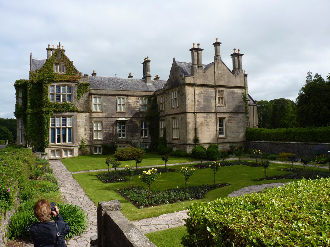 Muckross House, Gardens & Traditional Farms景点图片