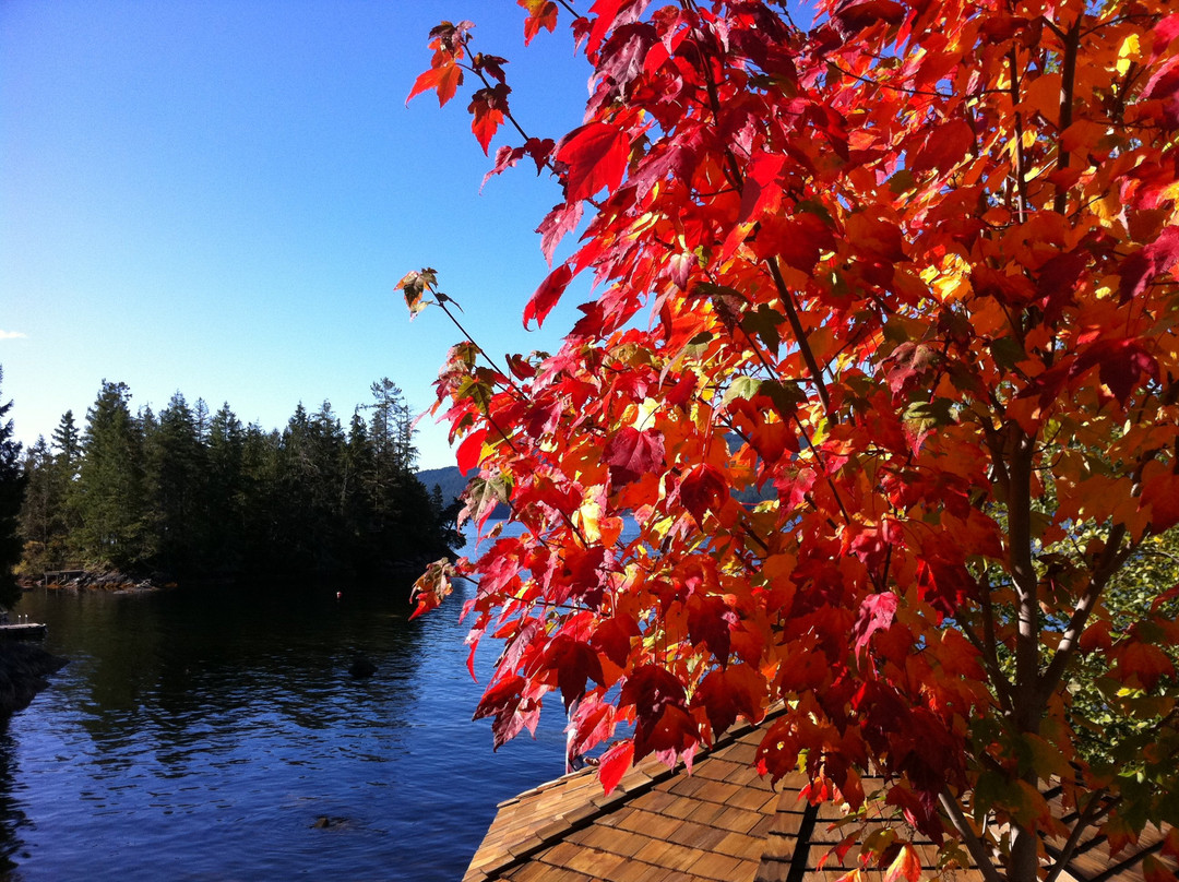 At the Waters Edge Spa-Sechelt必去景点
