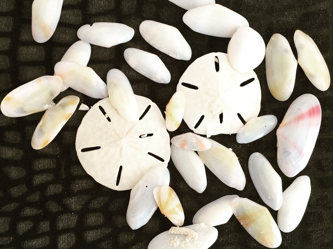 Exuma Wall-大埃克苏马必去景点