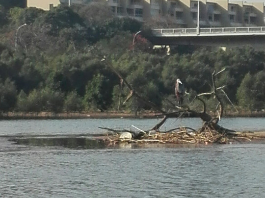 Green Corridors-德班必去景点