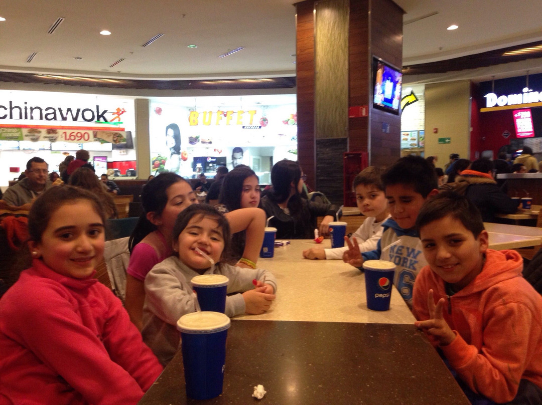 Mall del Centro Concepción-康塞普西翁必去景点