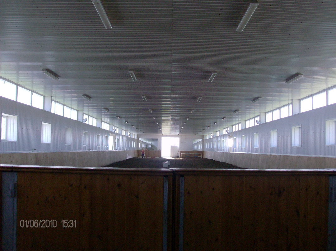 Beshtau Equestrian Club景点图片