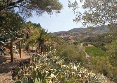 Jardin Mediterranean du Mas de la Serre景点图片