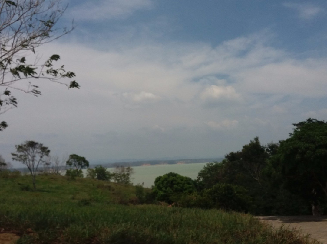 Parque Municipal da Lagoa景点图片