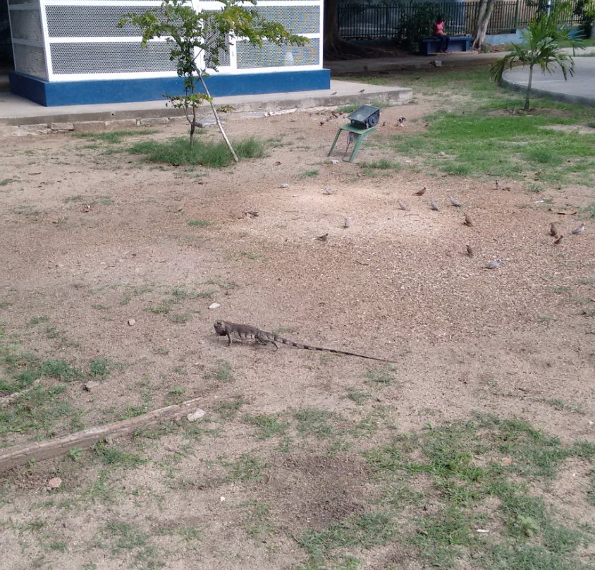 Parque Florestal Fernando Silvestre-Santa Cruz Do Capibaribe必去景点