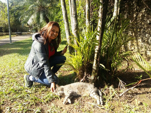 Espaco Verde Chico Mendes-Sao Caetano do Sul必去景点