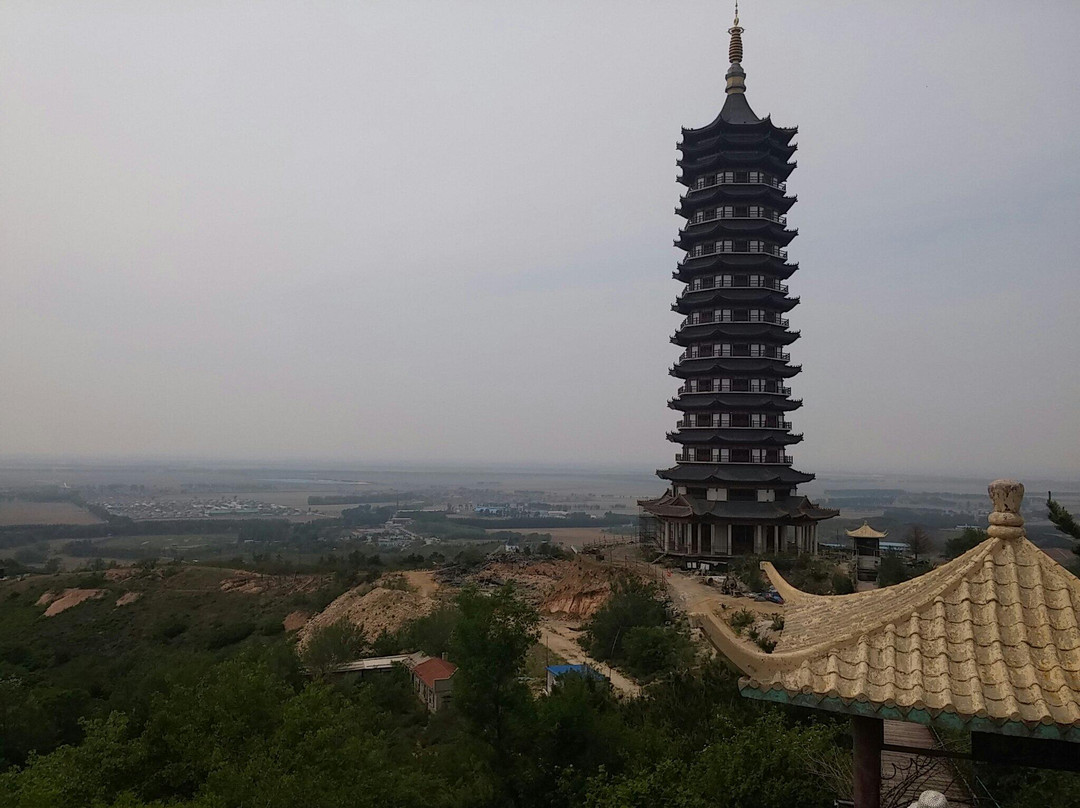 怪坡老虎园-沈阳市必去景点