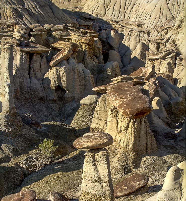 Southwest Photo Tours by Bob Ayre - Tours-Moriarty必去景点