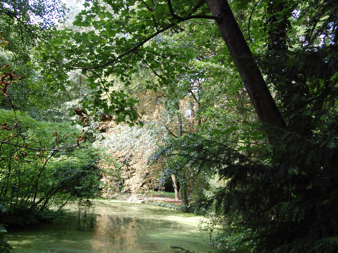 Alcsut Arboretum景点图片