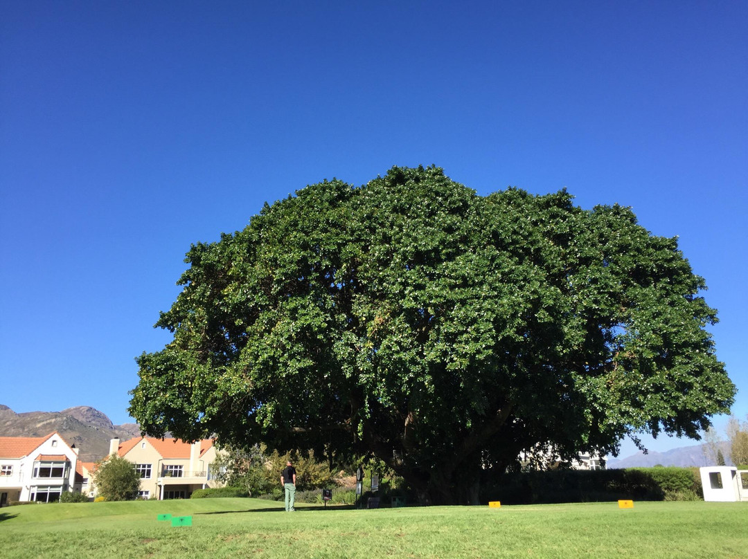Boschenmeer Golf Estate-帕尔必去景点