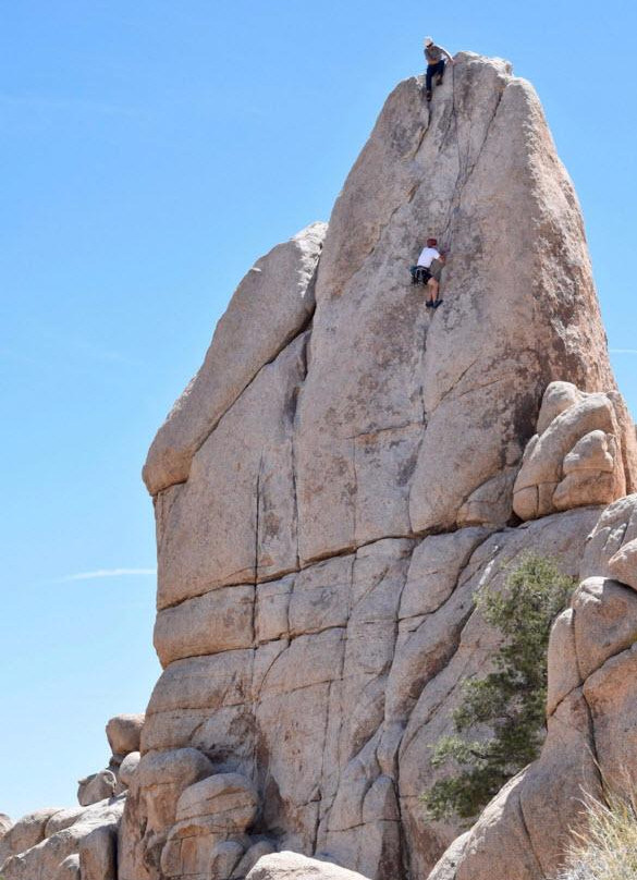 Mojave Guides-约书亚树必去景点