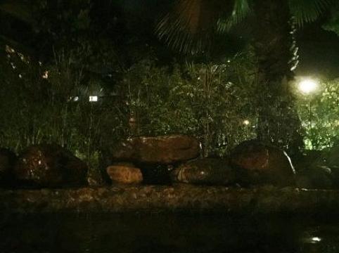 龙岩客都(国际)温泉酒店-泳池