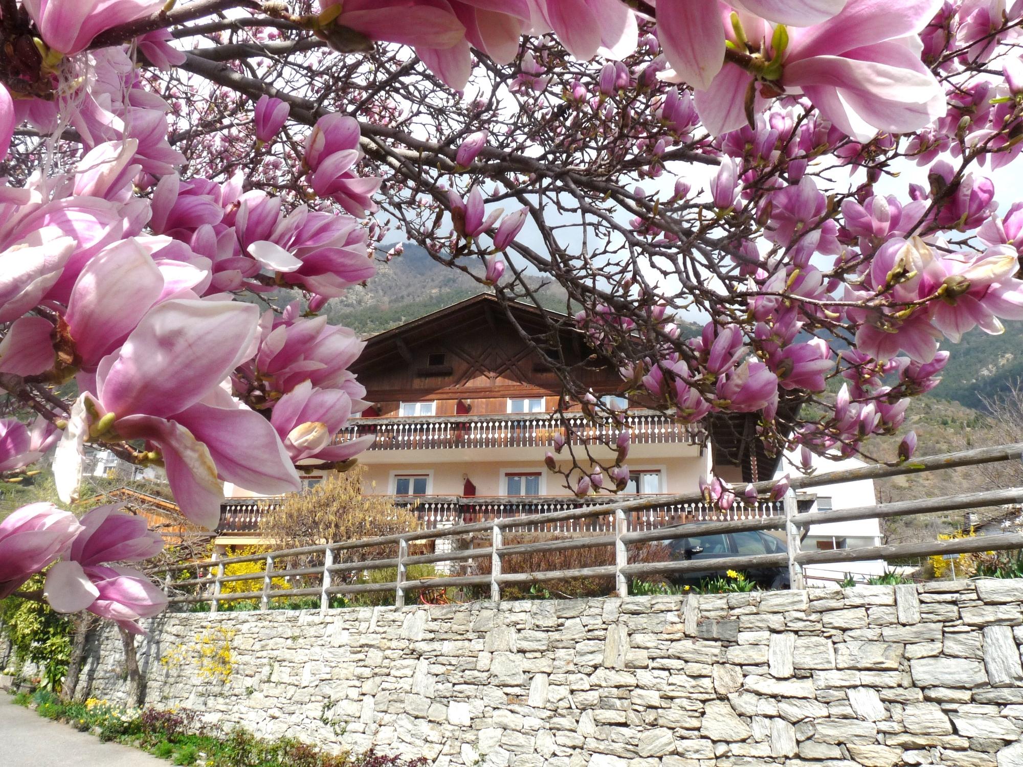 Hotel Vetzanerhof-浴室