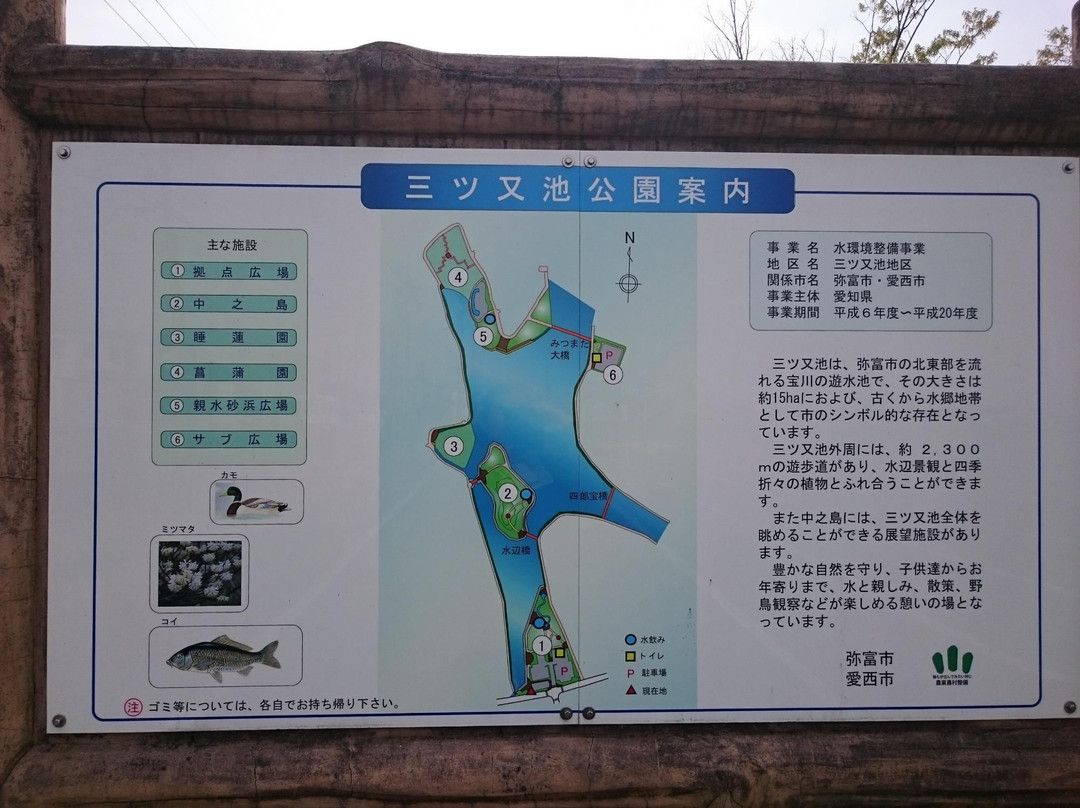 Mitsumata Pond Park-弥富市必去景点