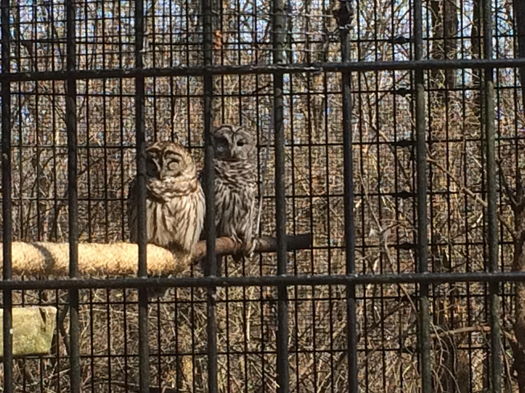 Willowbrook Wildlife Center-Glen Ellyn必去景点