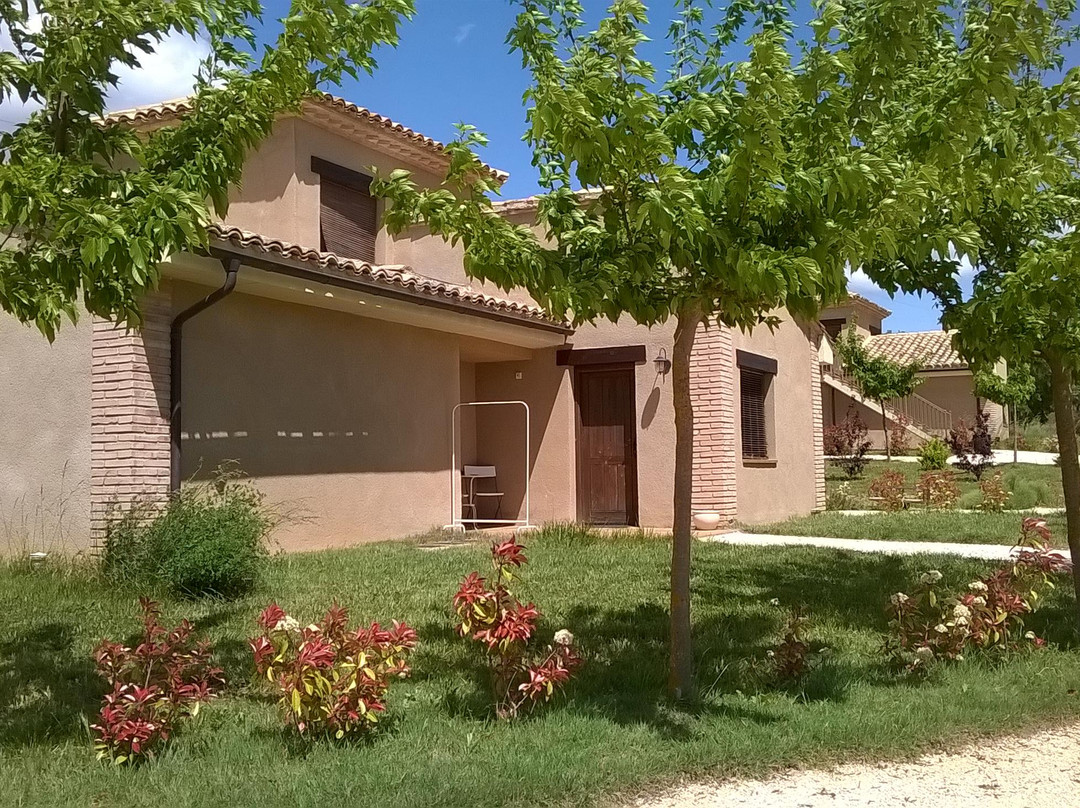 Puente l'Albarda主图