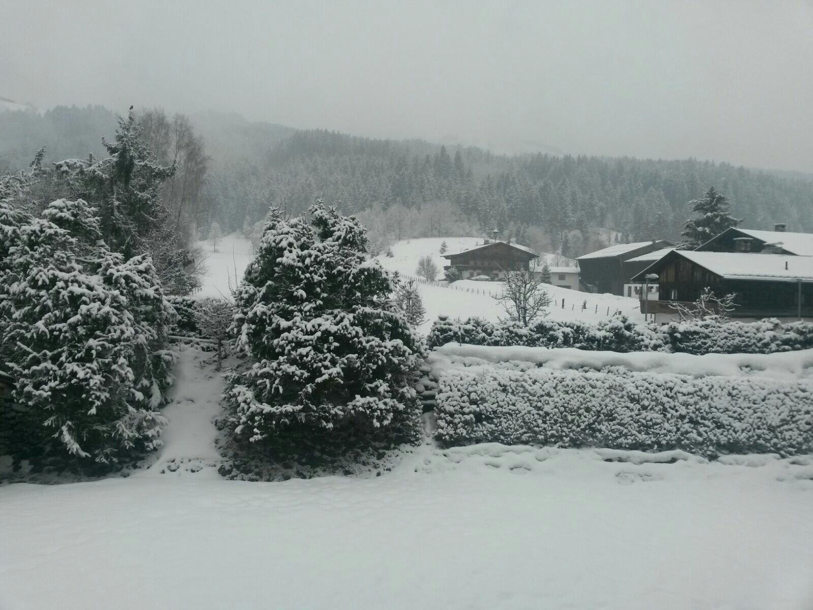 Landhaus Gasteiger Pension-酒店景观