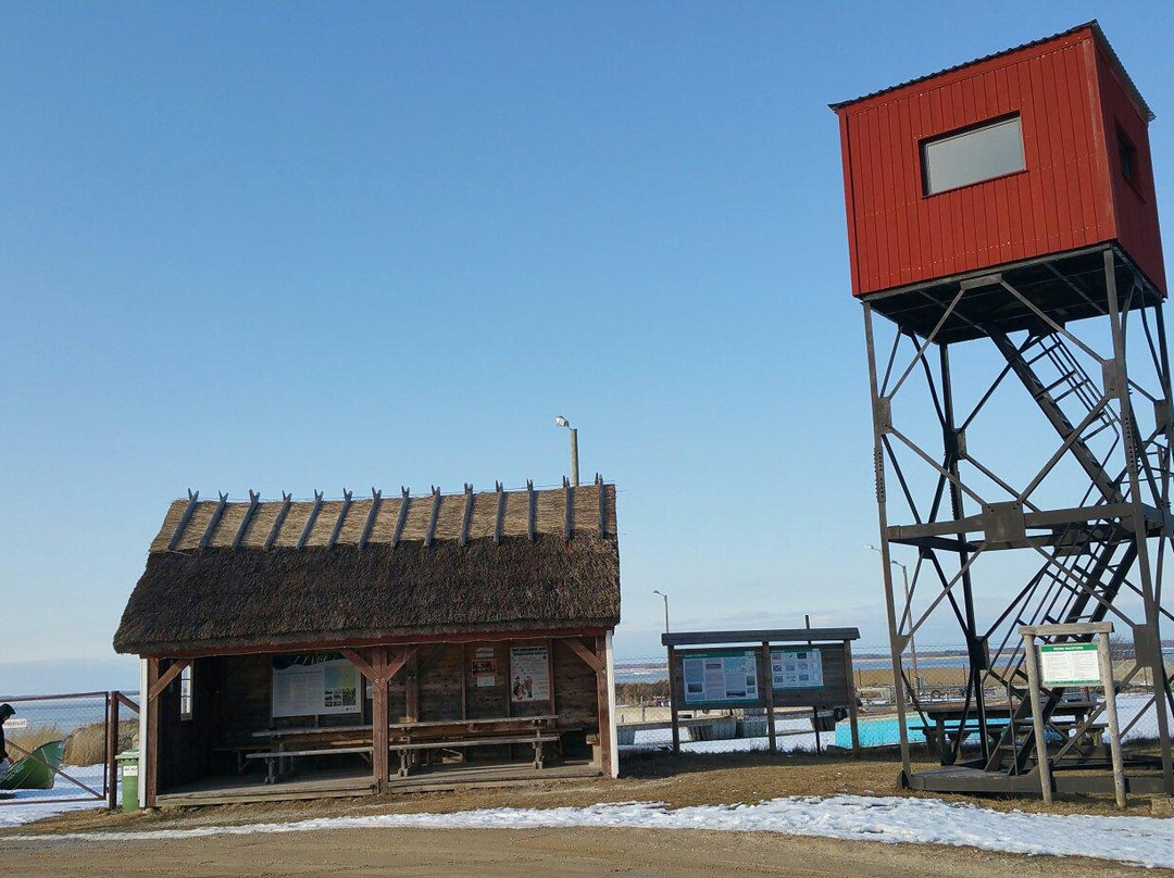 Matsalu National Park-Lihula必去景点