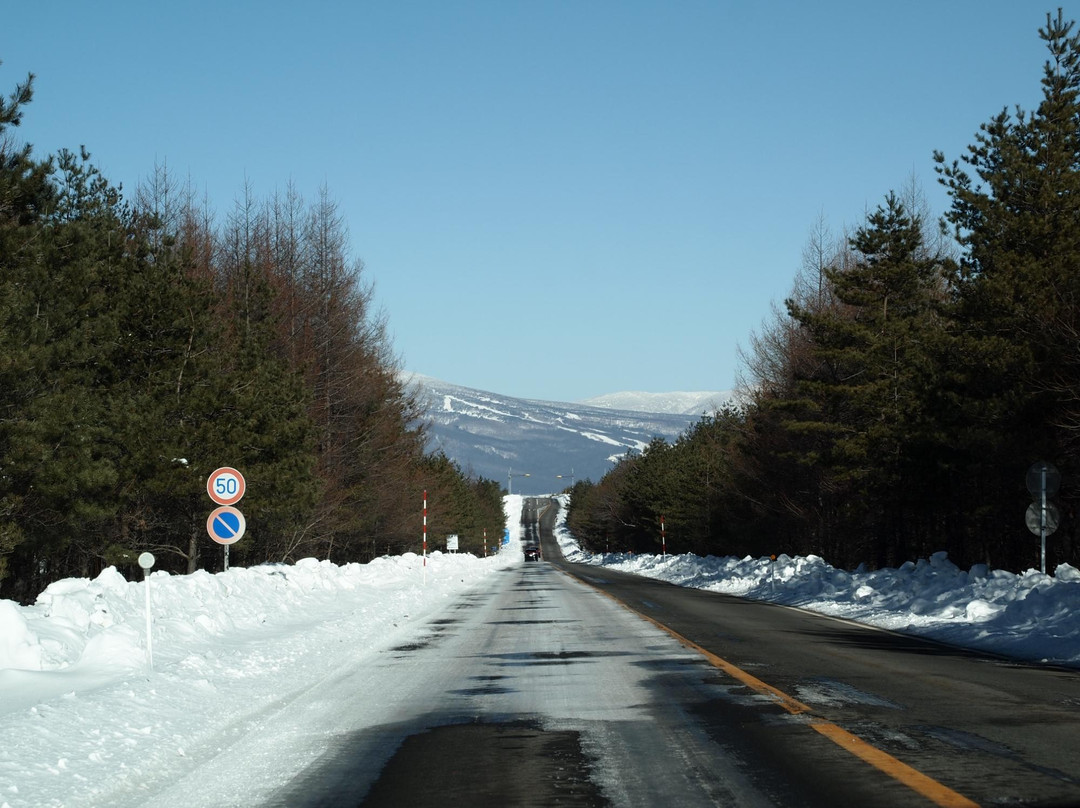 Onioshi Highway景点图片