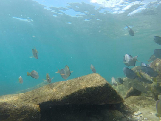 Ocean Escape Puerto Rico-吕康必去景点