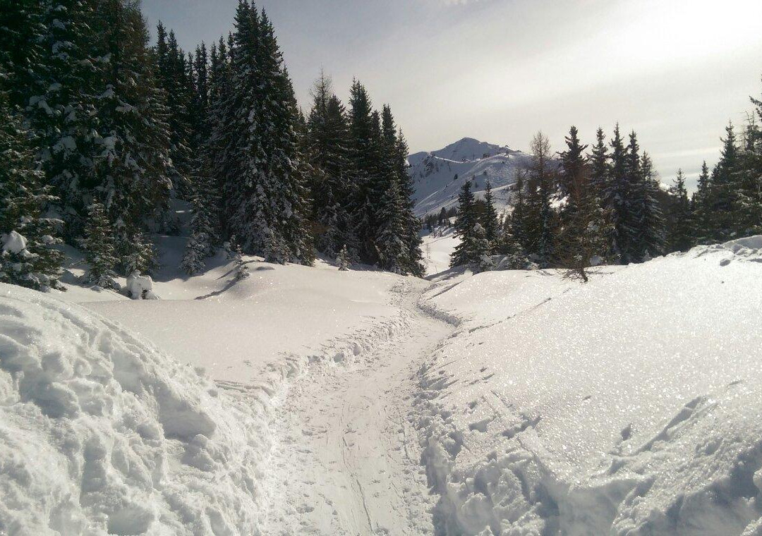 Bruson Ski Area景点图片