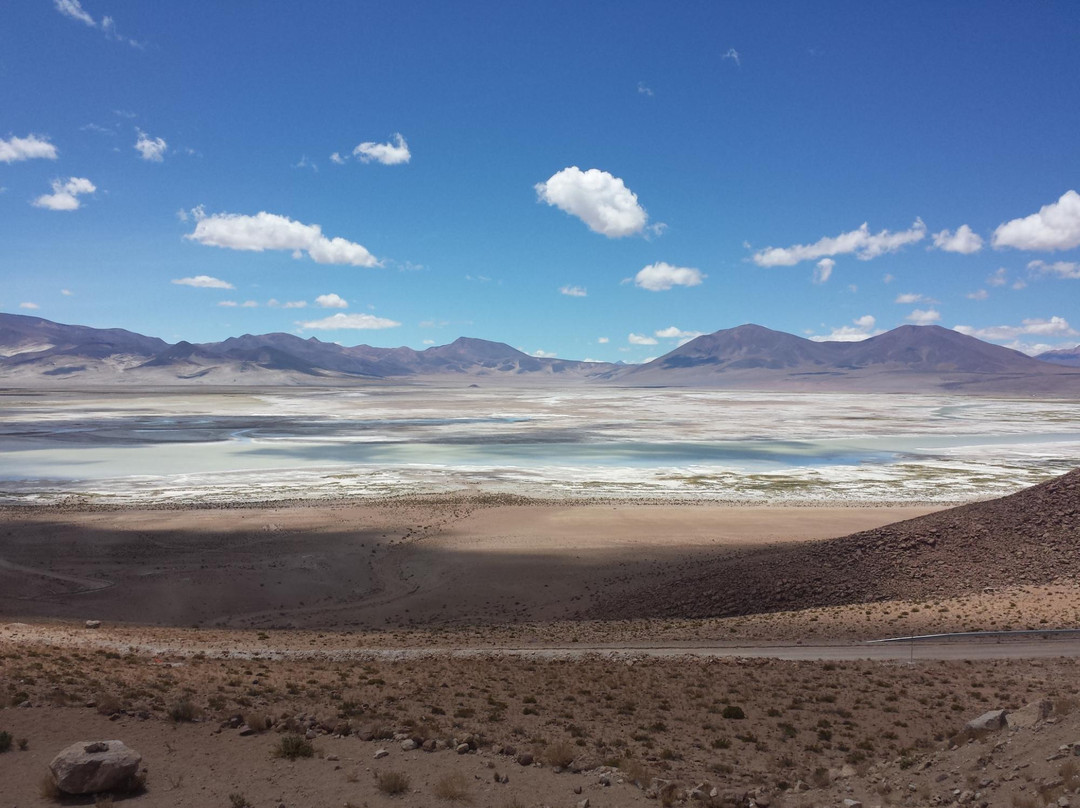 Parque Nacional Salar del Huasco