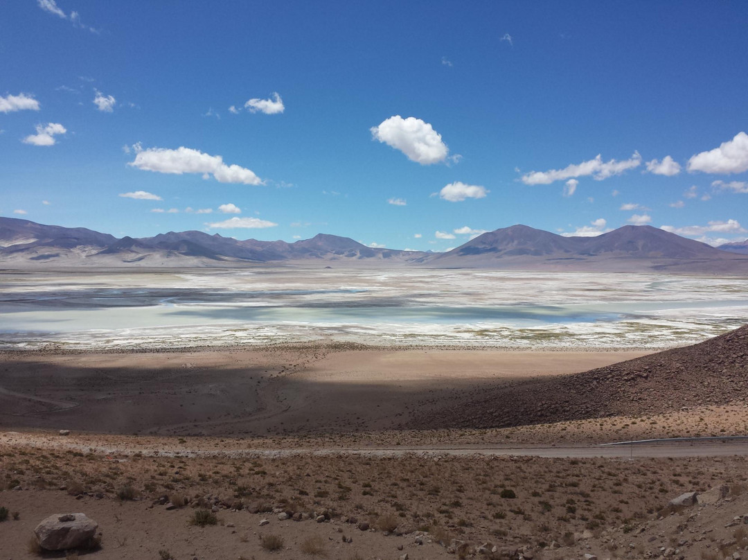 Parque Nacional Salar del Huasco景点图片