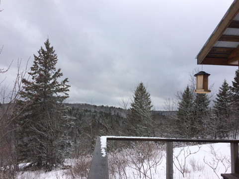 Leaf Lake Ski Trail-阿冈昆公园必去景点
