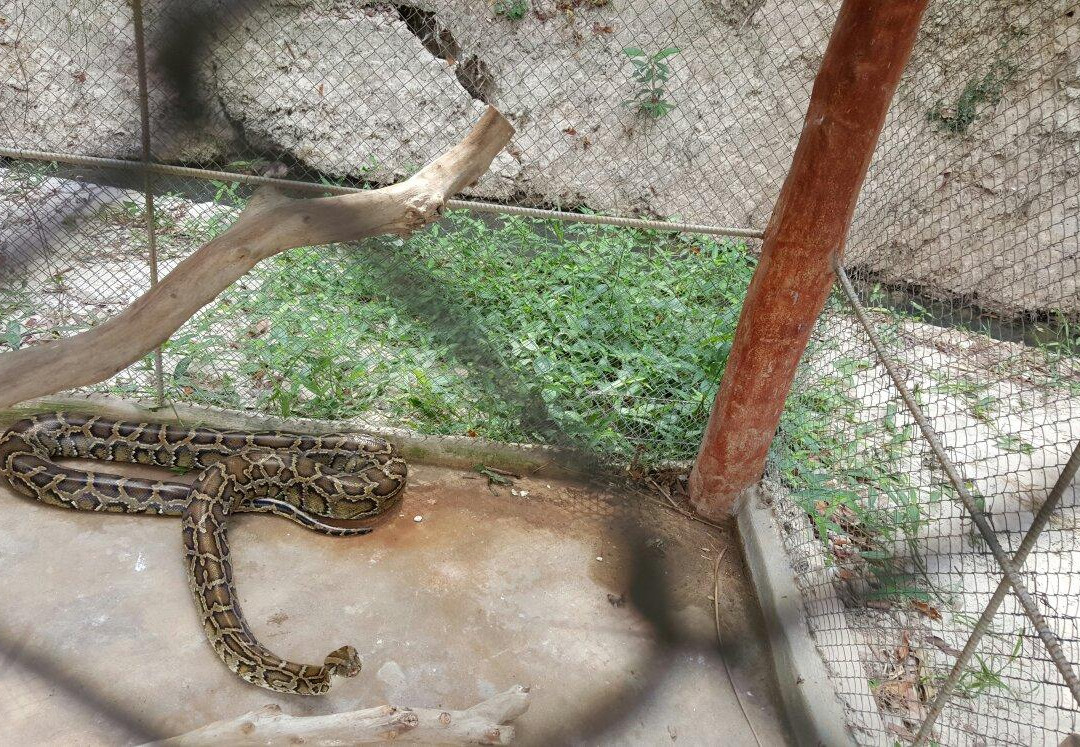 Vita Garden Mini-Zoo-藩切市必去景点