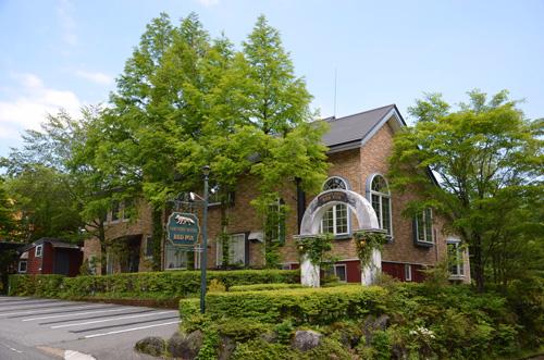 Country Hotel Red Fox-浴室