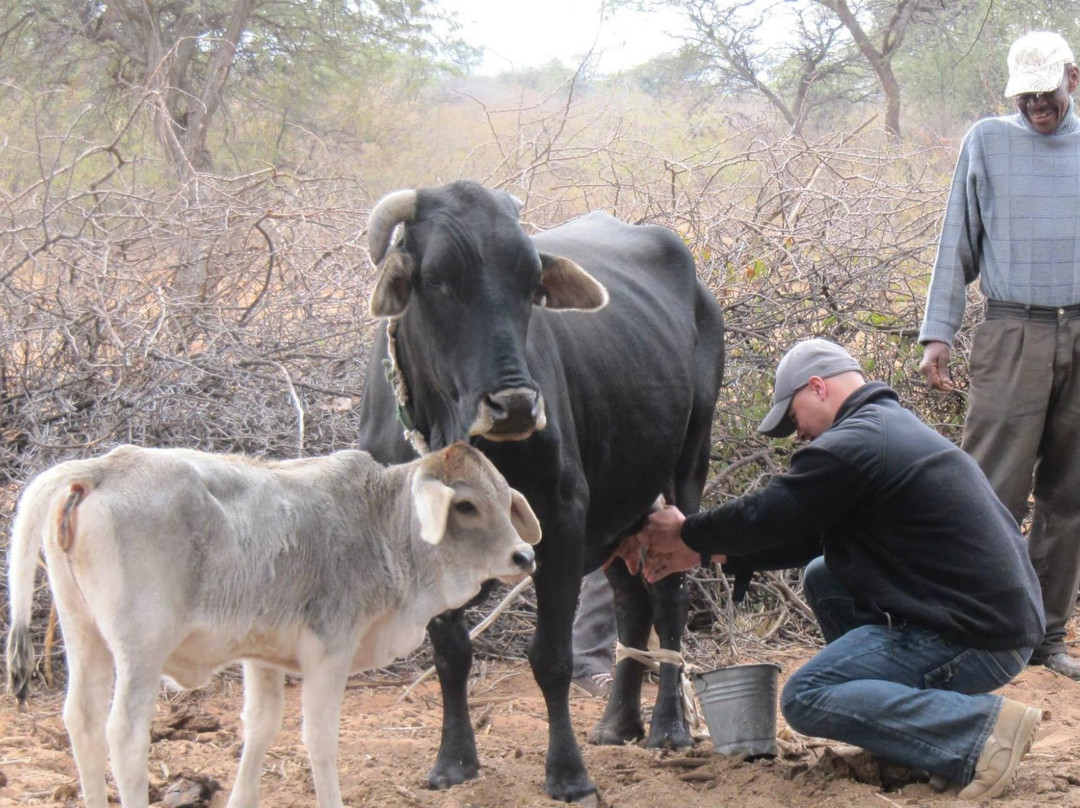 Maroon Tours & Safaris-嘉伯隆里必去景点