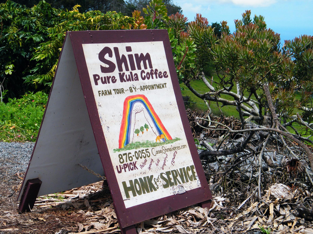 Shim's Coffee Farm-库拉必去景点