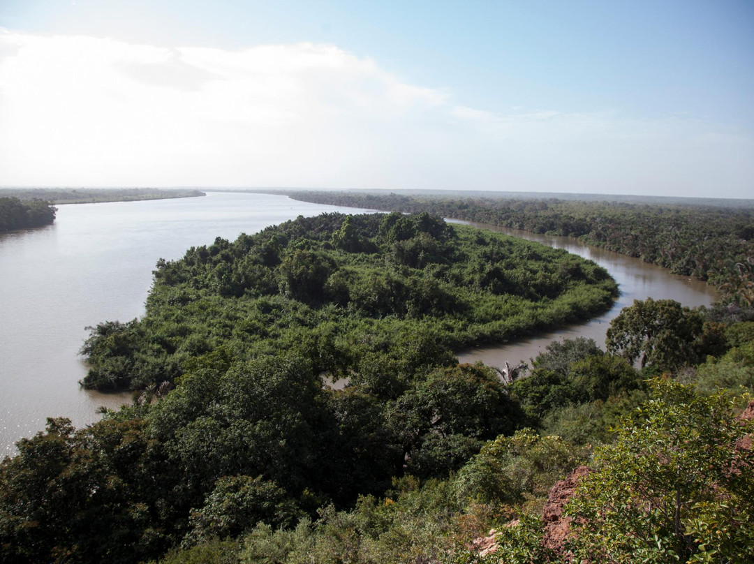 River Gambia National Park景点图片