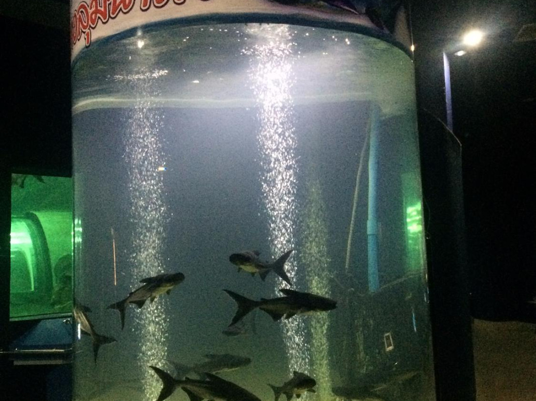 Mekong Underwater World景点图片