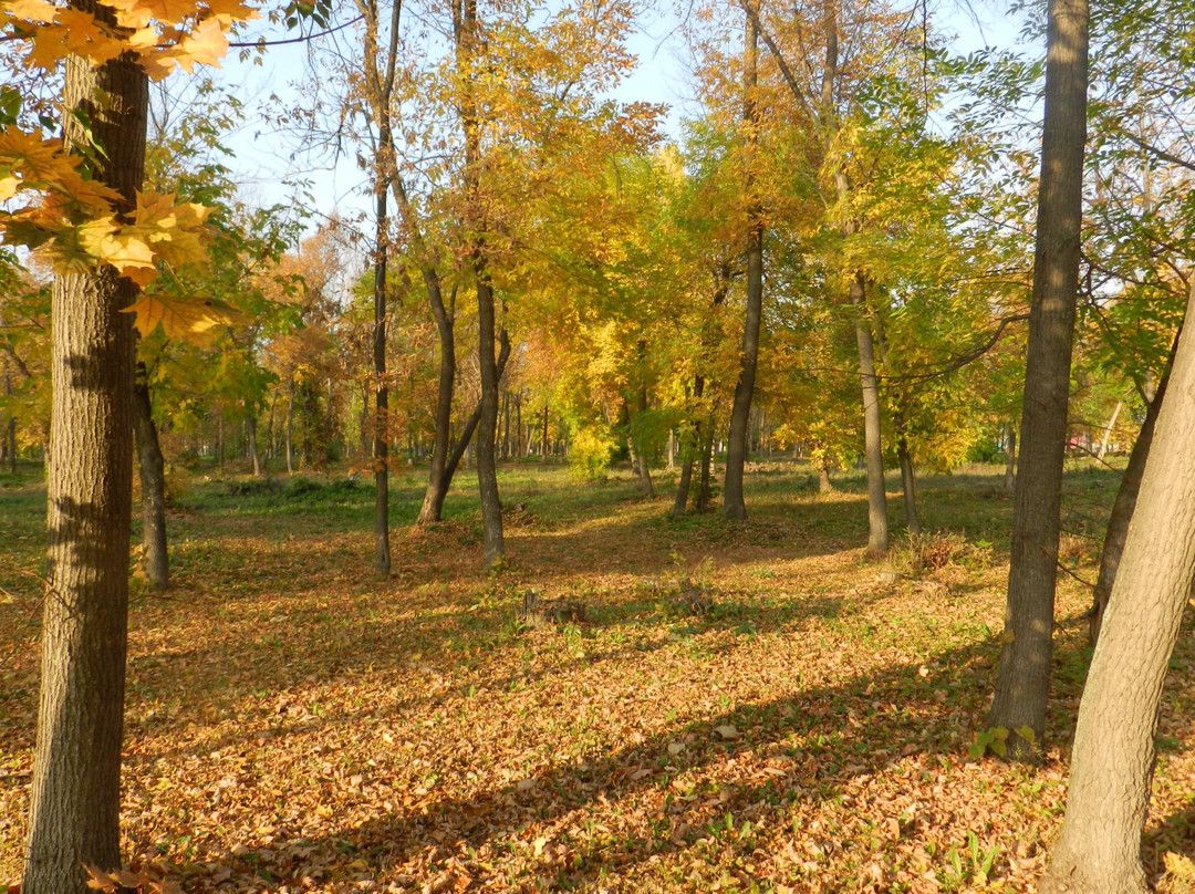 Central Park of Culture and Recreation-Salavat必去景点