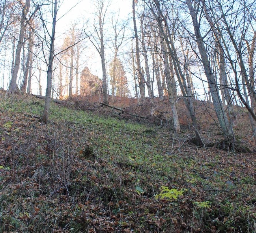 Sudety Wałbrzyskie Landscape Park景点图片