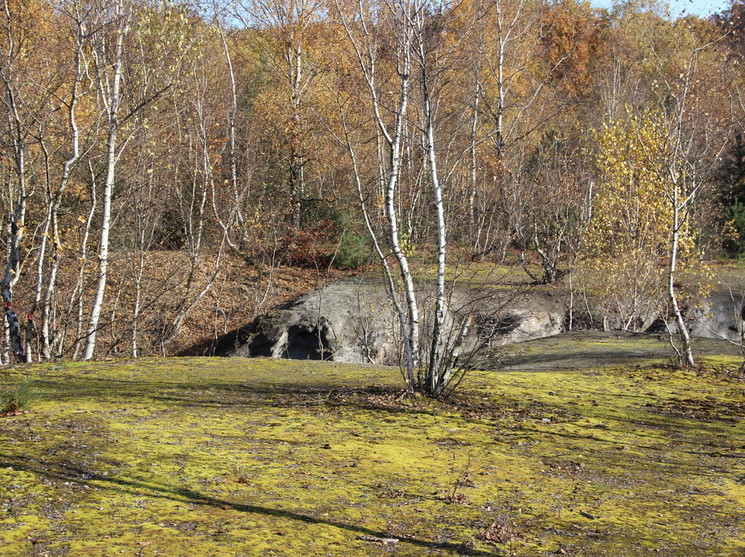 Monte Schlacko景点图片