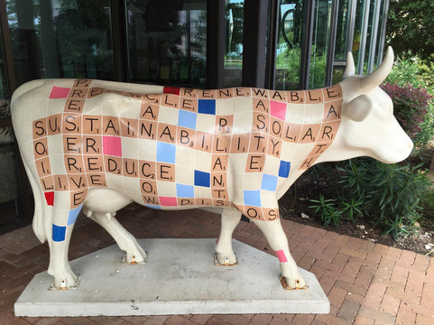 Mueller Lake Park-奥斯丁必去景点