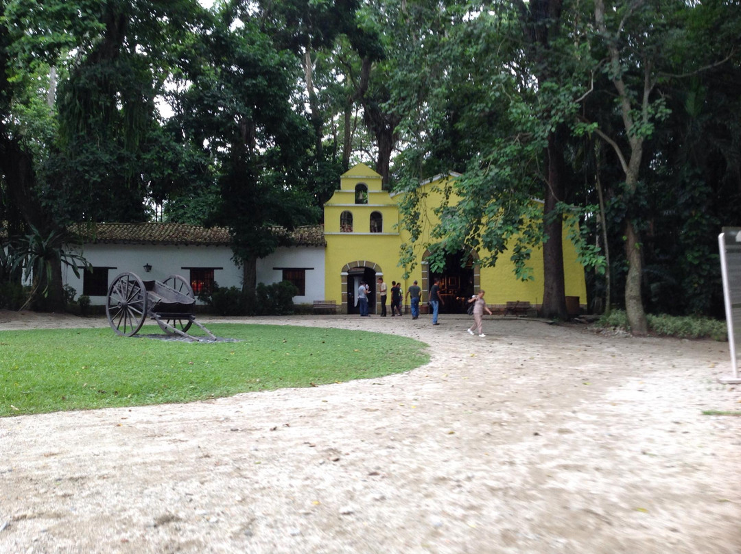 Parque de la Exotica Flora Tropical景点图片