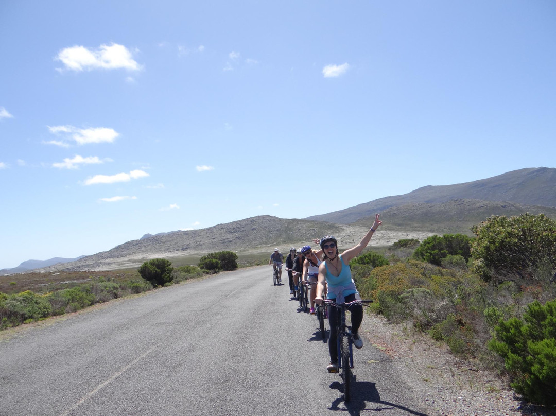 Daytrippers-开普敦中心区必去景点