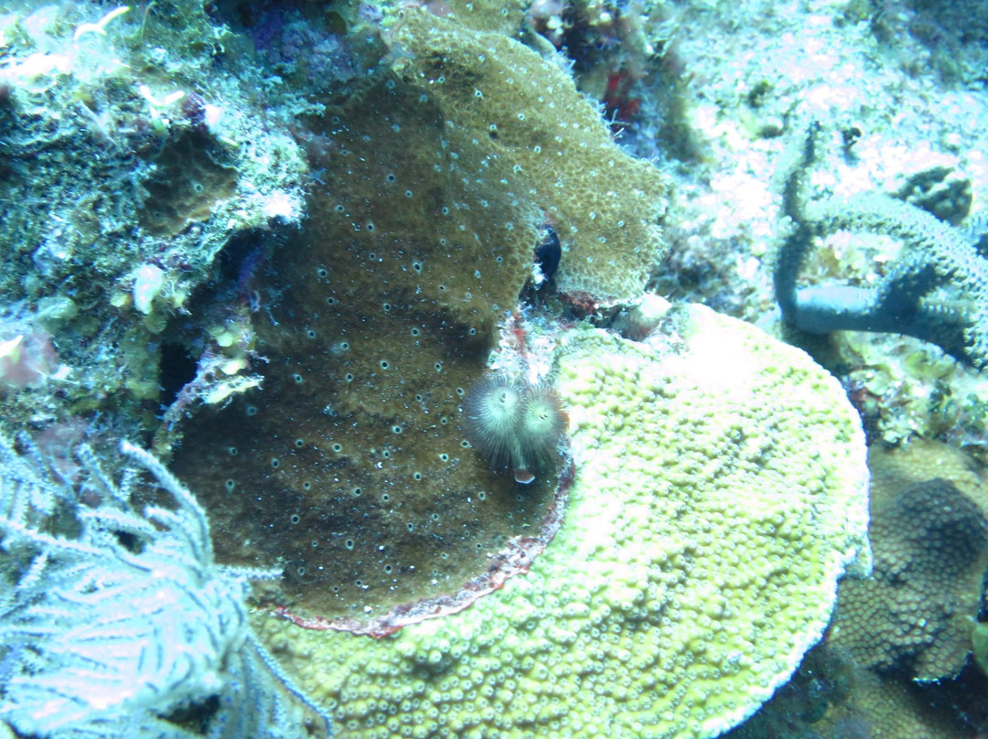 MacDonald's Arch-Grand Turk必去景点