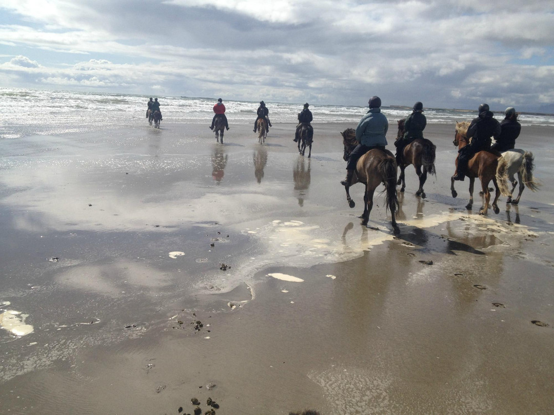 America 2 Iceland-博尔加内斯必去景点