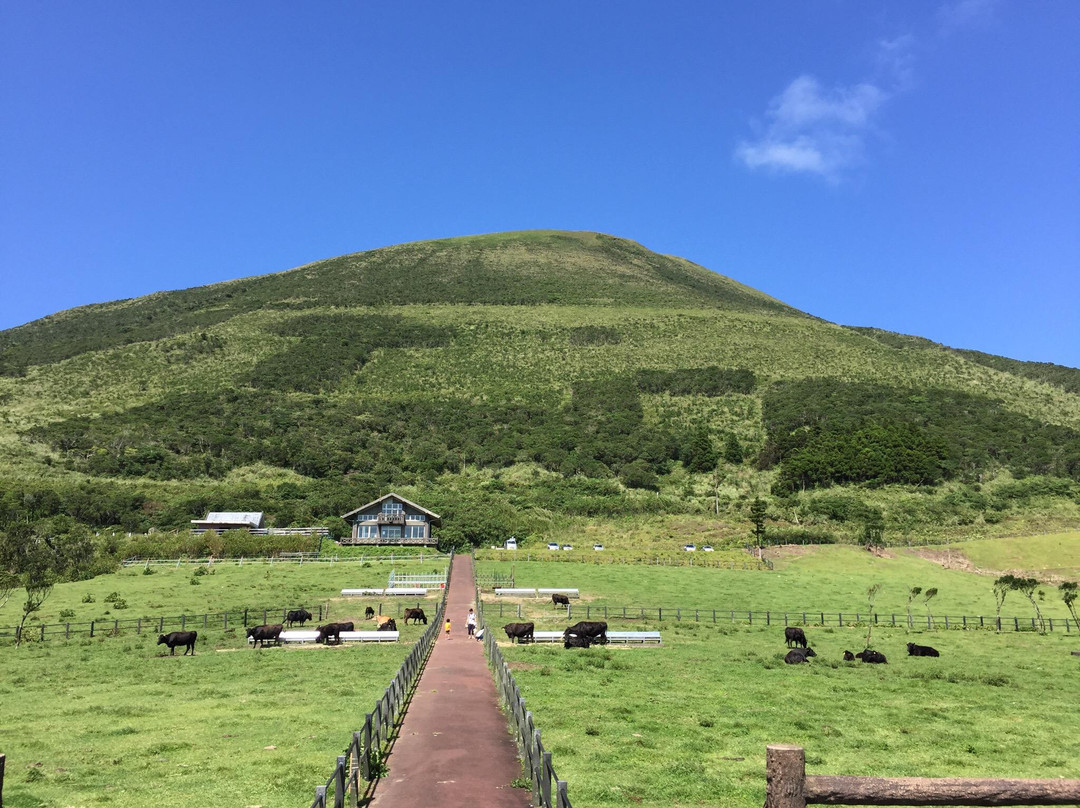 Hachijo Fuji Fureai Bokujo-八丈町必去景点