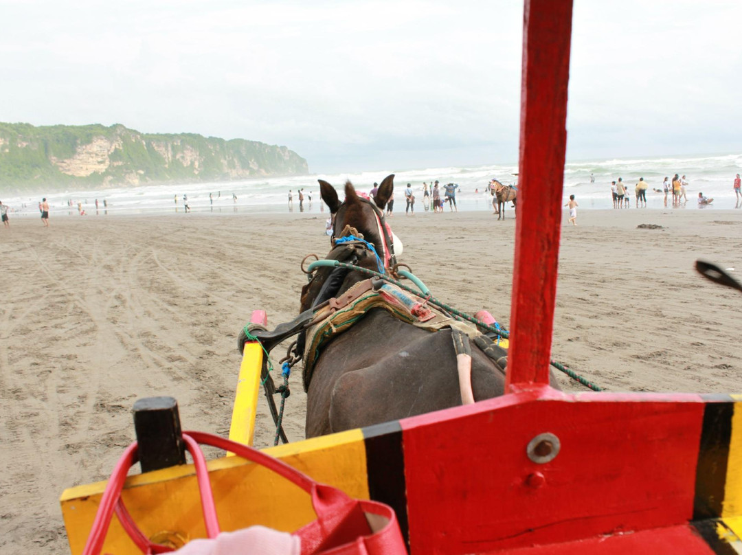 Bagus Bintang Tour & Travel-日惹必去景点