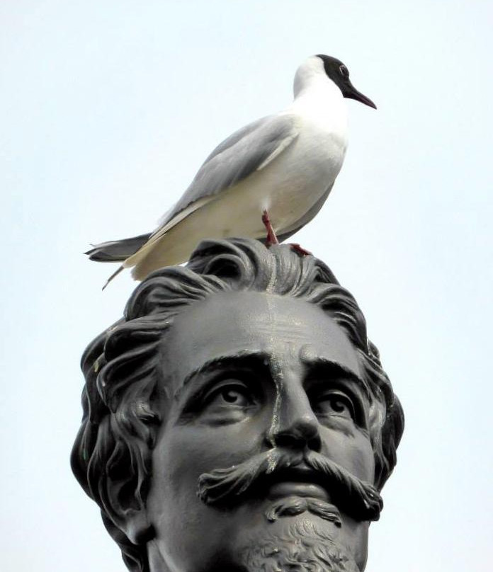 Hugo de Groot Monument-代尔夫特必去景点