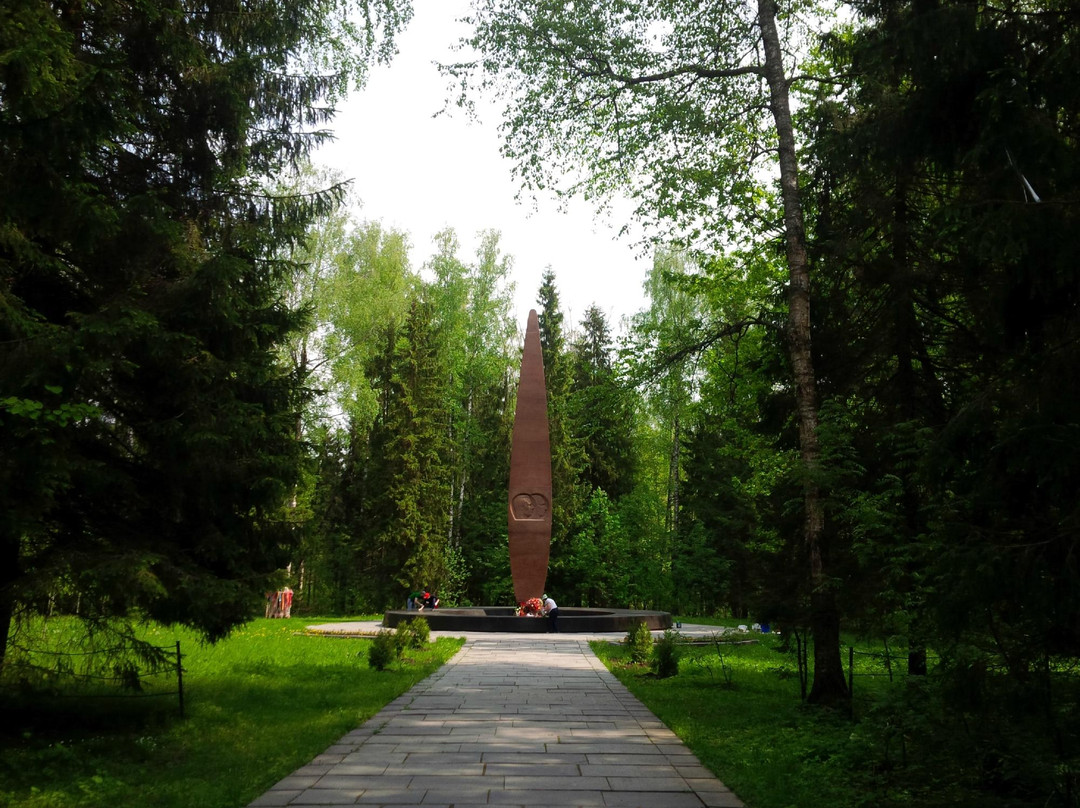 Memorial at the Place of Death of Y.A. Gagarin and V.S. Seregina景点图片